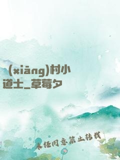 鄉(xiāng)村小道士