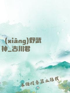 鄉(xiāng)野武神