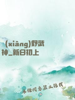 鄉(xiāng)野武神