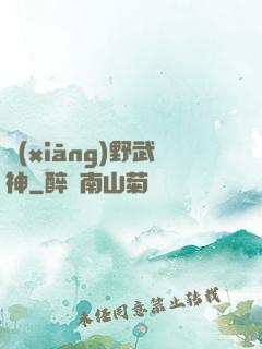 鄉(xiāng)野武神