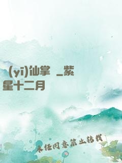 醫(yī)仙掌門