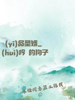 醫(yī)品圣婿