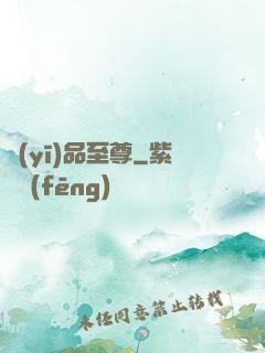 醫(yī)品至尊