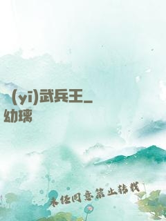 醫(yī)武兵王