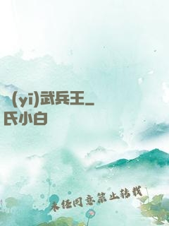 醫(yī)武兵王