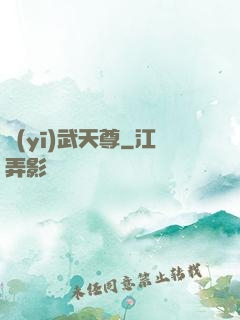 醫(yī)武天尊