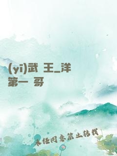 醫(yī)武為王