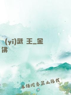 醫(yī)武為王