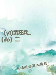 醫(yī)武狂兵
