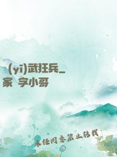 醫(yī)武狂兵