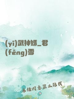 醫(yī)武神婿