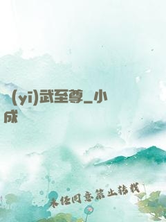 醫(yī)武至尊