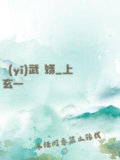醫(yī)武贅婿