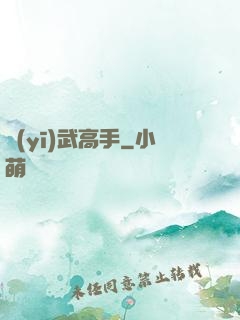 醫(yī)武高手