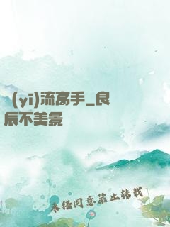 醫(yī)流高手