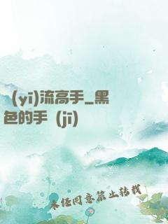 醫(yī)流高手
