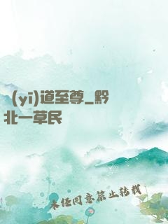醫(yī)道至尊