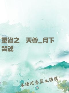 重修之無敵天尊