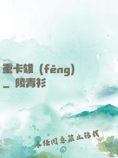 重卡雄風(fēng)