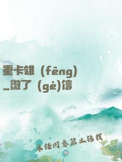 重卡雄風(fēng)