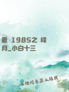 重啟1985之巔峰歲月