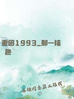 重回1993