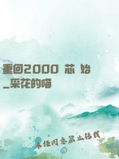 重回2000從芯開始