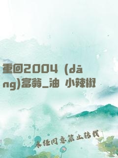 重回2004當(dāng)富翁