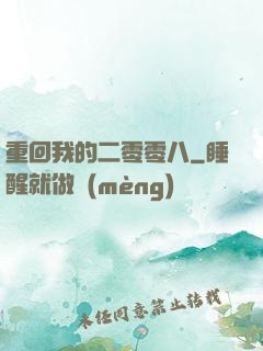 重回我的二零零八