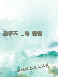 重掌天宮