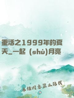 重活之1999年的夏天