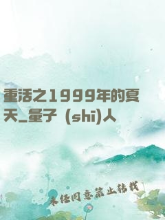 重活之1999年的夏天