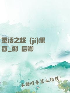 重活之超級(jí)黑客