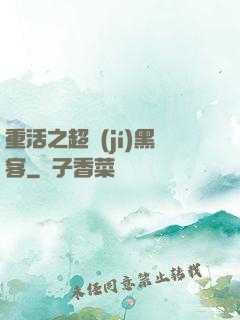重活之超級(jí)黑客