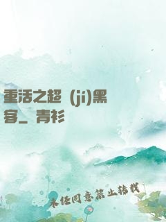 重活之超級(jí)黑客