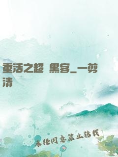 重活之超級黑客