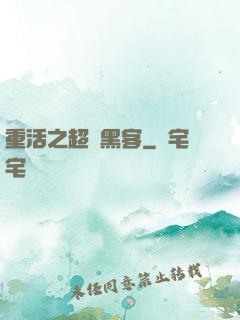 重活之超級黑客