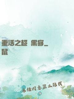 重活之超級黑客