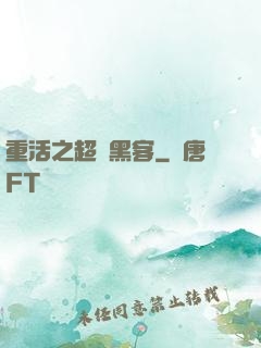 重活之超級黑客