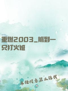 重燃2003