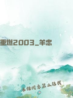 重燃2003