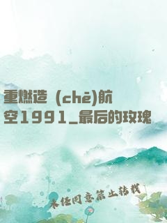 重燃造車(chē)航空1991