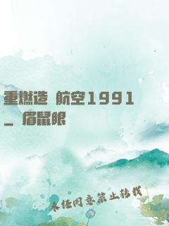 重燃造車航空1991