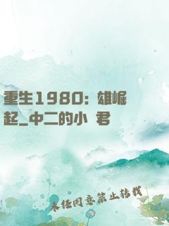 重生1980:梟雄崛起