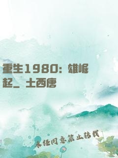 重生1980:梟雄崛起