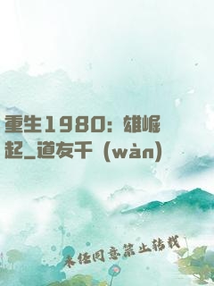 重生1980:梟雄崛起