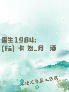 重生1984：從開發(fā)漢卡開始