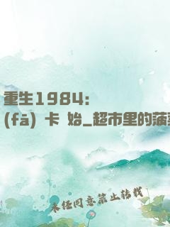 重生1984：從開發(fā)漢卡開始
