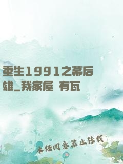 重生1991之幕后梟雄