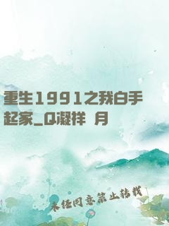 重生1991之我白手起家